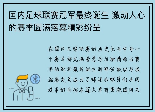 国内足球联赛冠军最终诞生 激动人心的赛季圆满落幕精彩纷呈